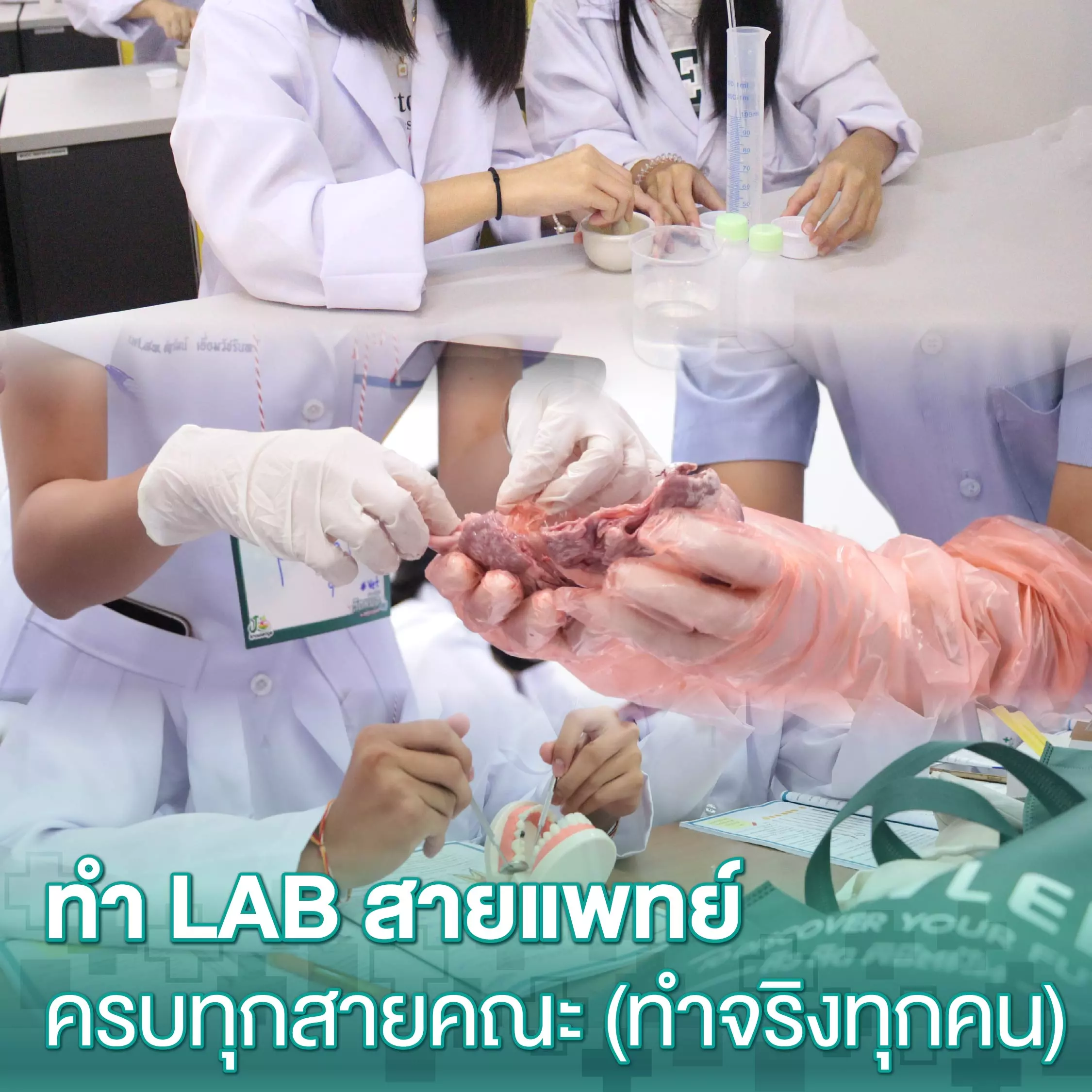 มาทำ Lab สายแพทย์ ครบทุกสายคณะ (ทำจริงทุกคน)