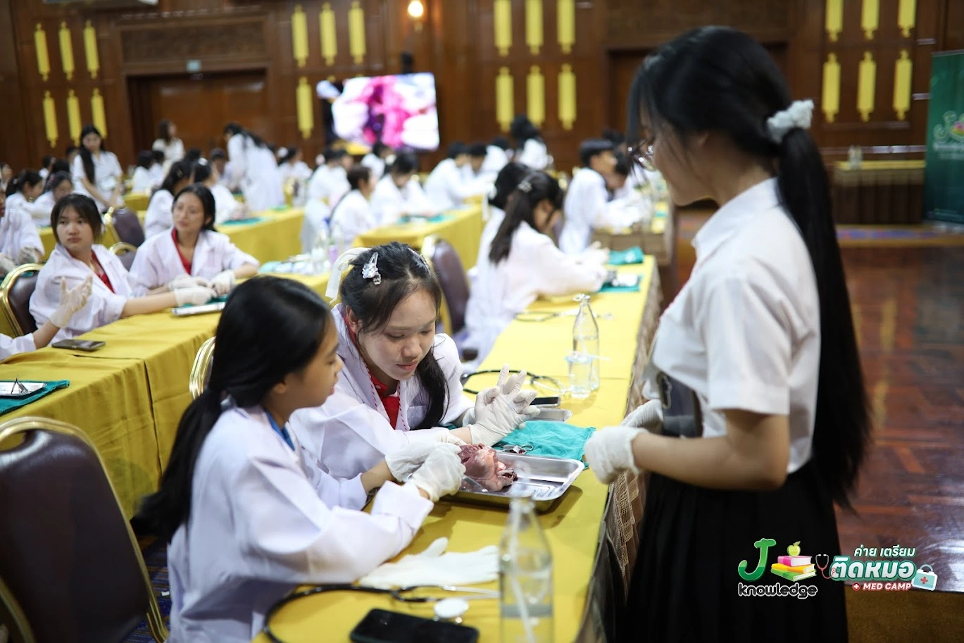Medical Lab