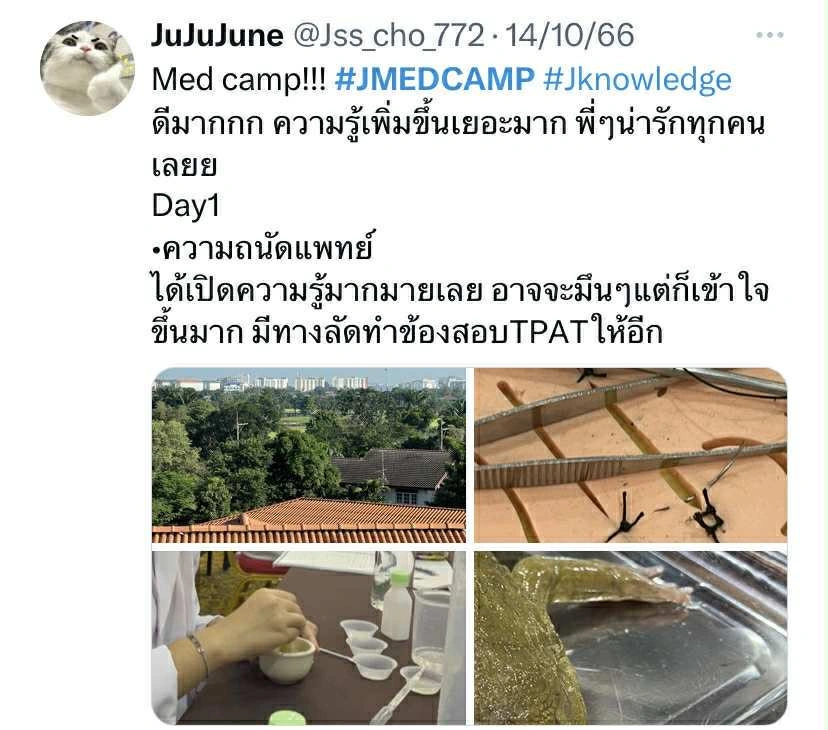 Review 5
