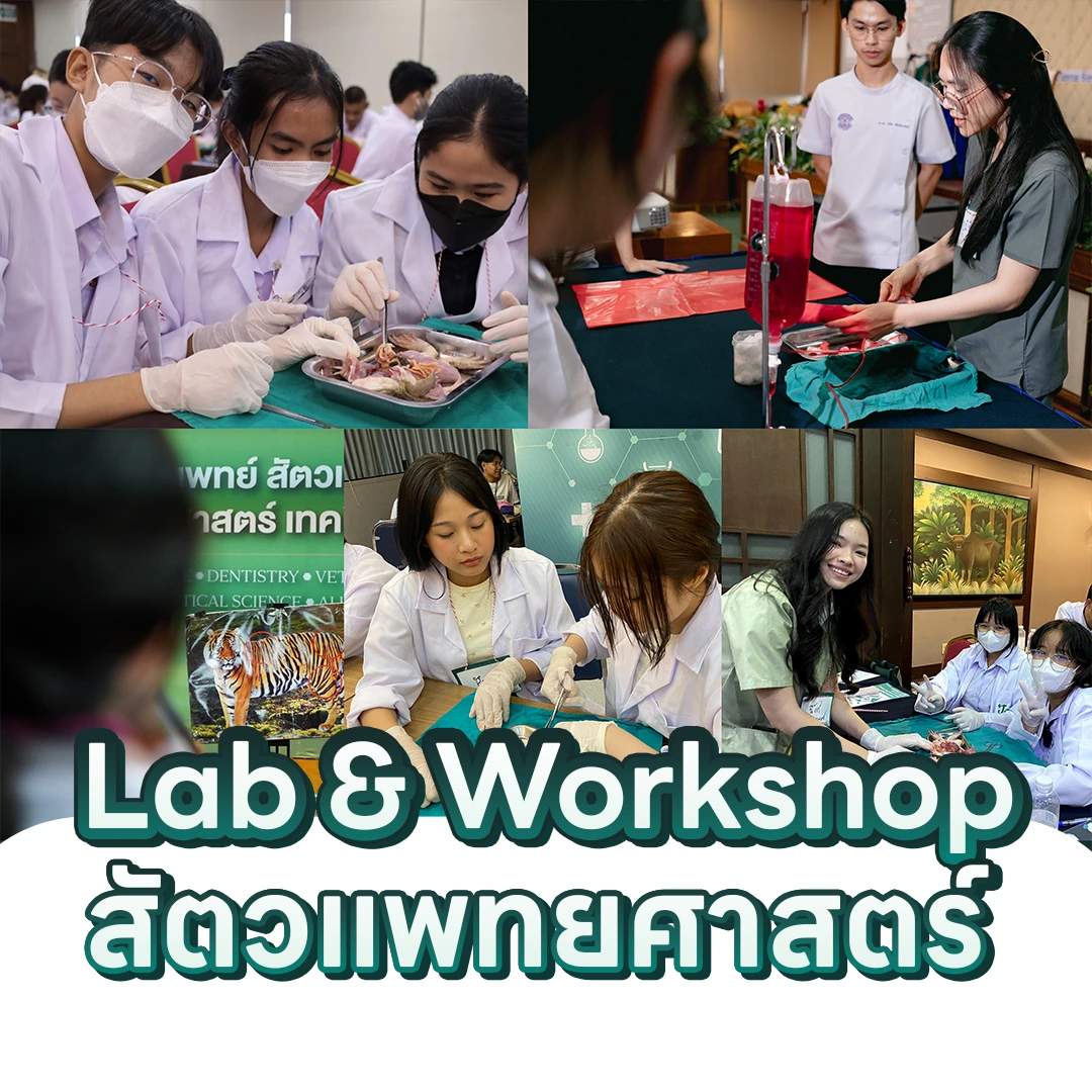 Workshop สัตวแพทย์