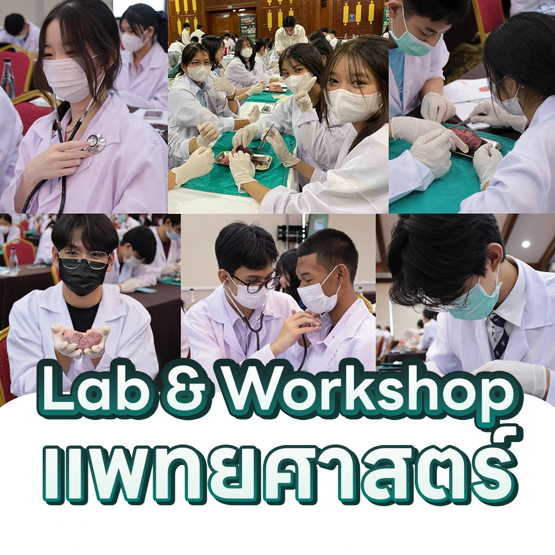 Workshop แพทย์
