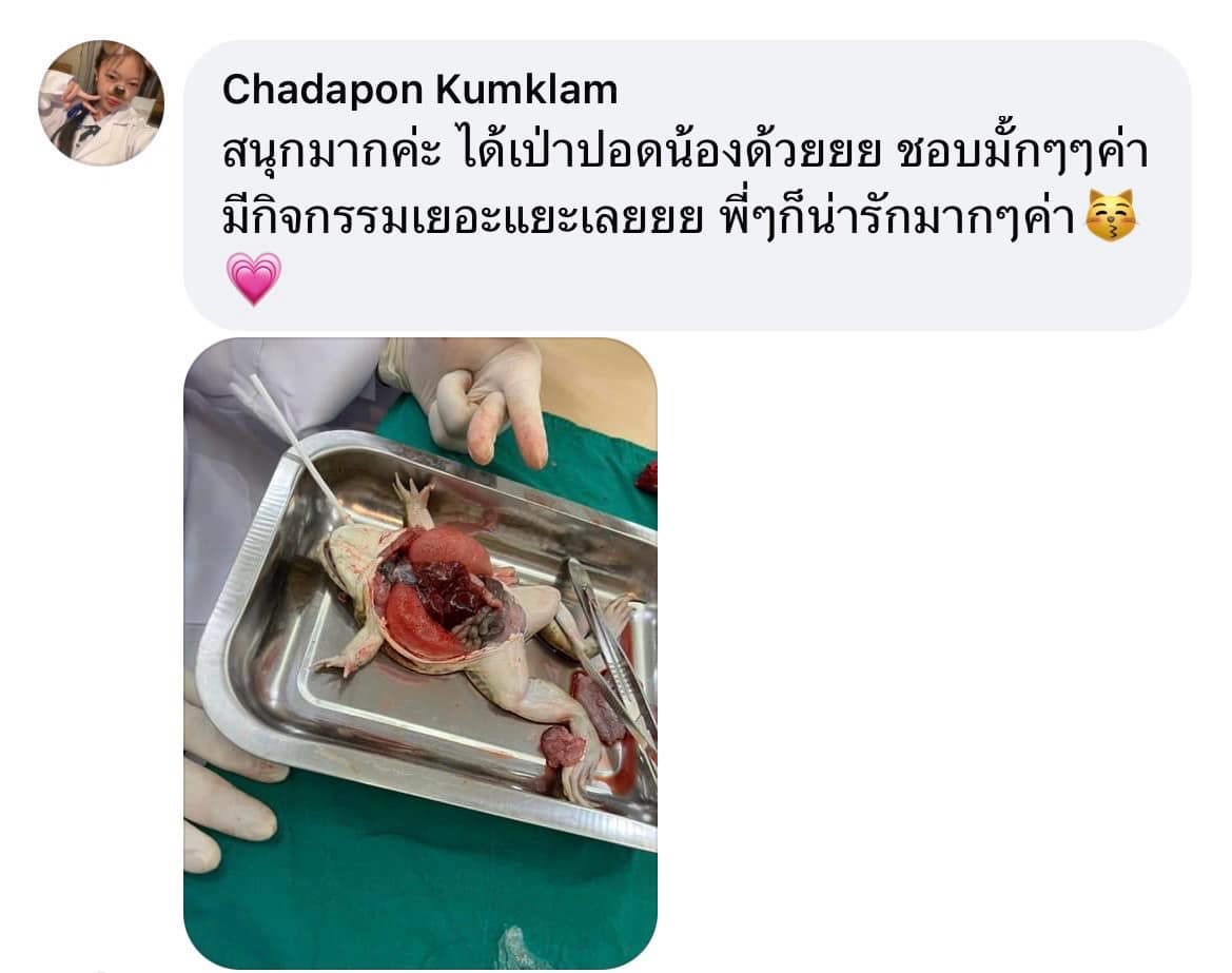 รีวิว กิจกรรมค่าย เตรียม ติด หมอ