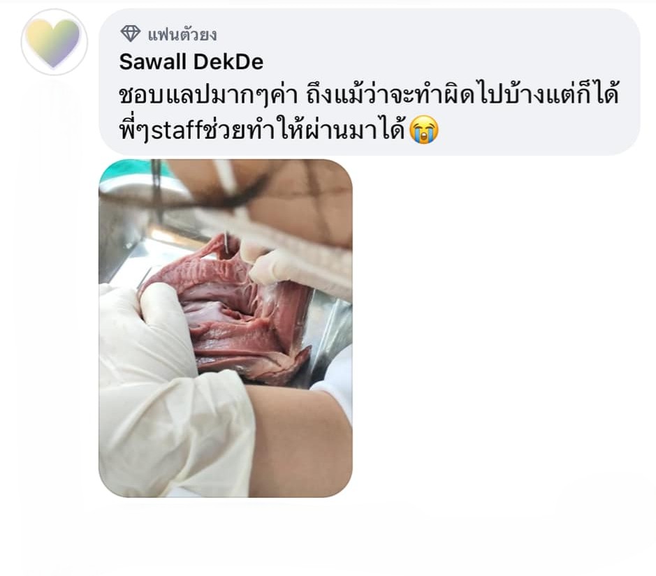 รีวิว กิจกรรมค่าย เตรียม ติด หมอ
